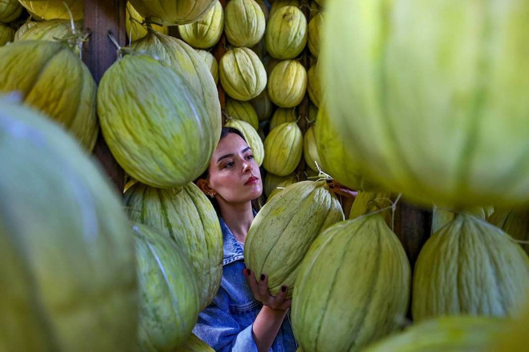 AB onaylı lezzet! Kırkağaç kavunu, kış aylarında da tezgahlarda 16